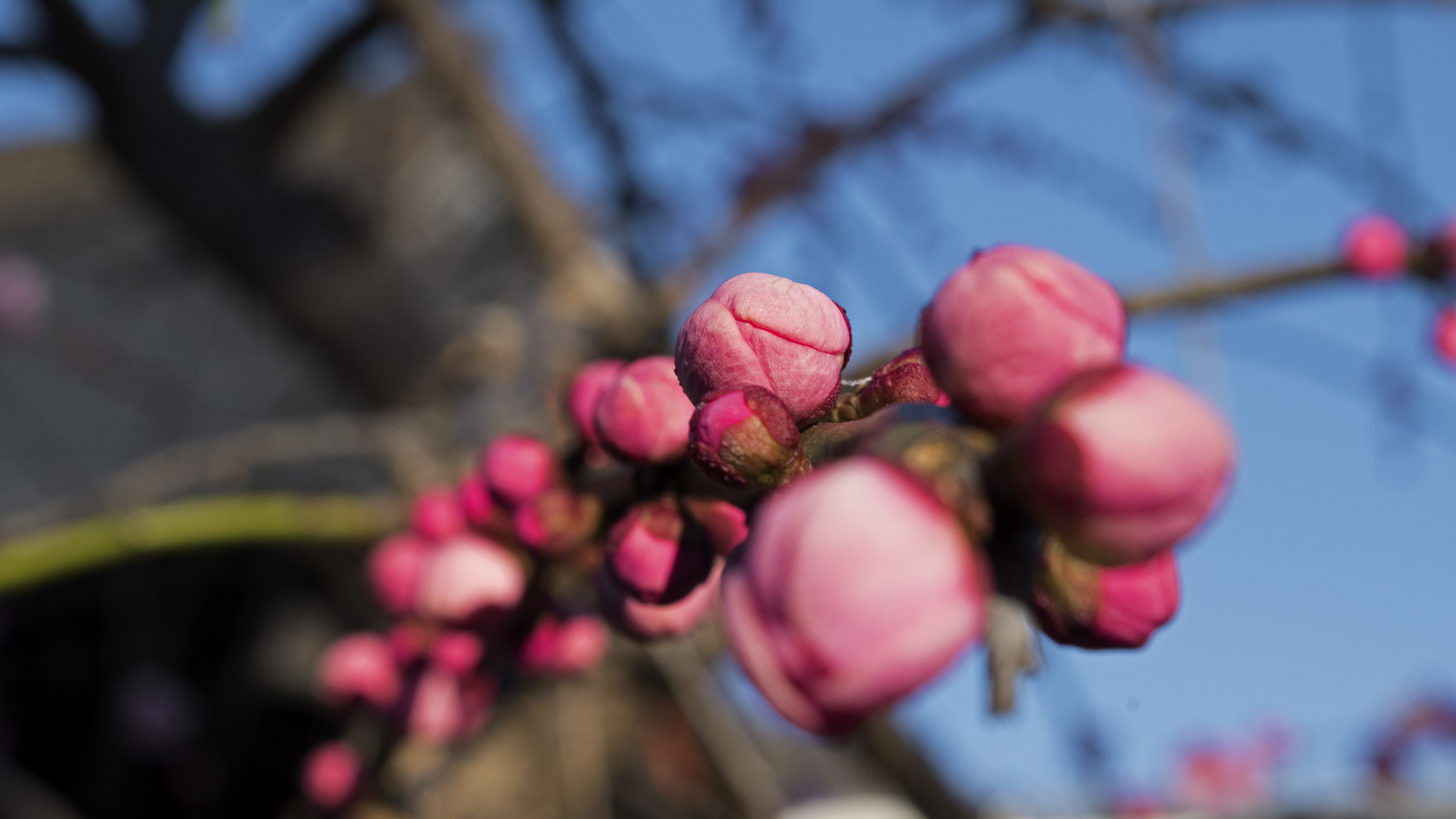 March 1_Walk-001_jpeg