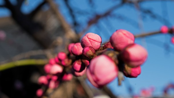 March 1_Walk-001_jpeg