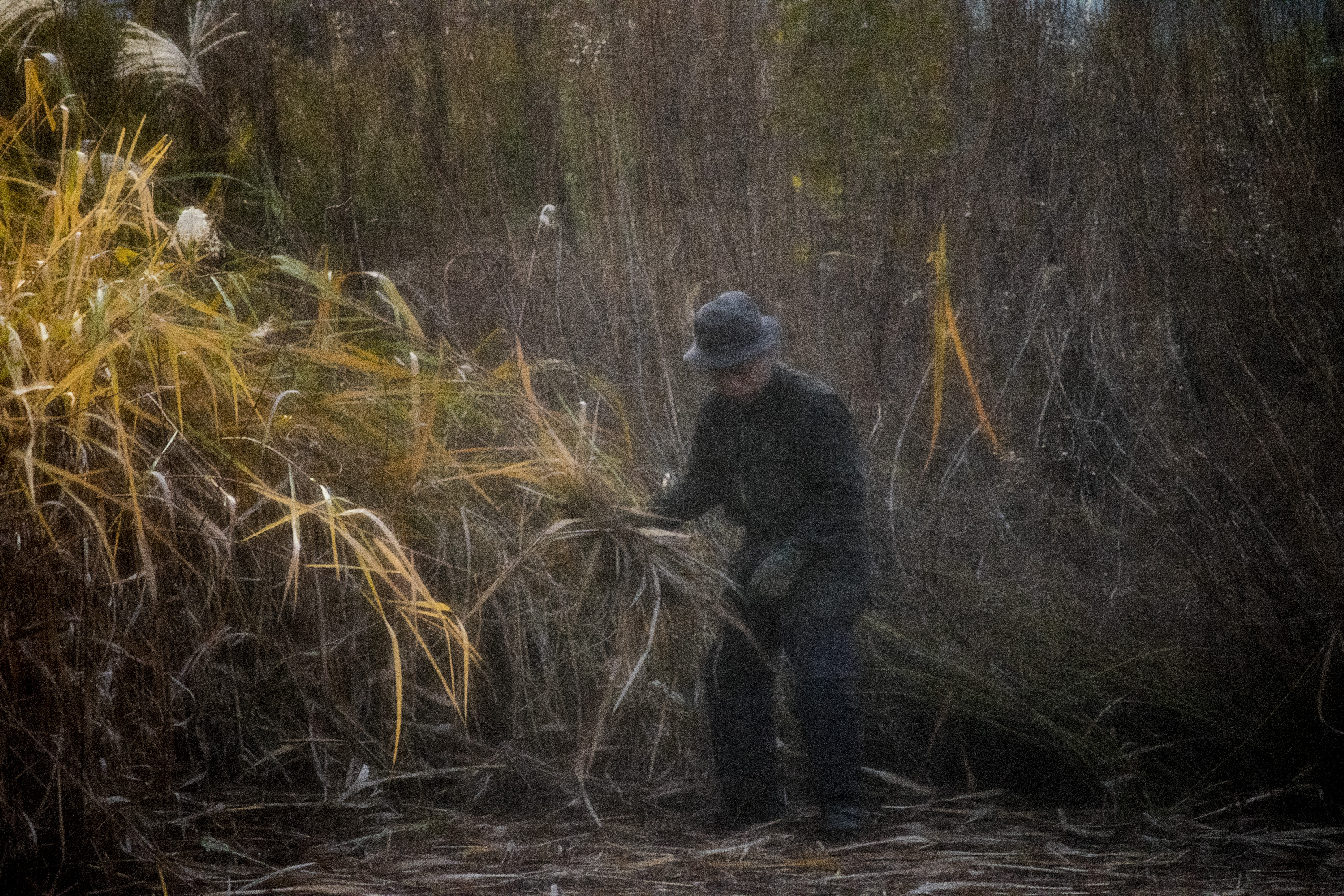 Clearing the Field_2017-001