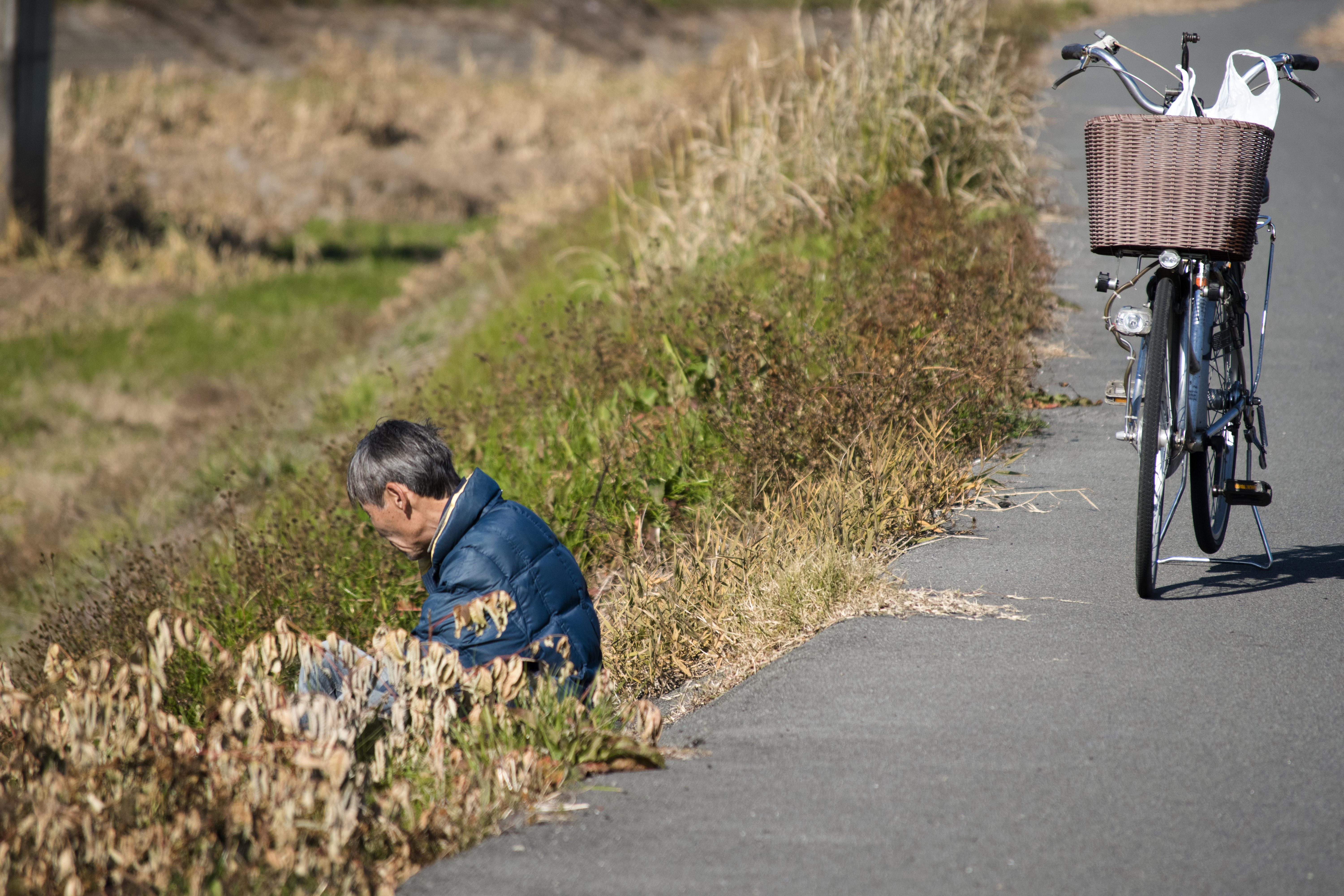 2017_12_01_Nigorigawa-003