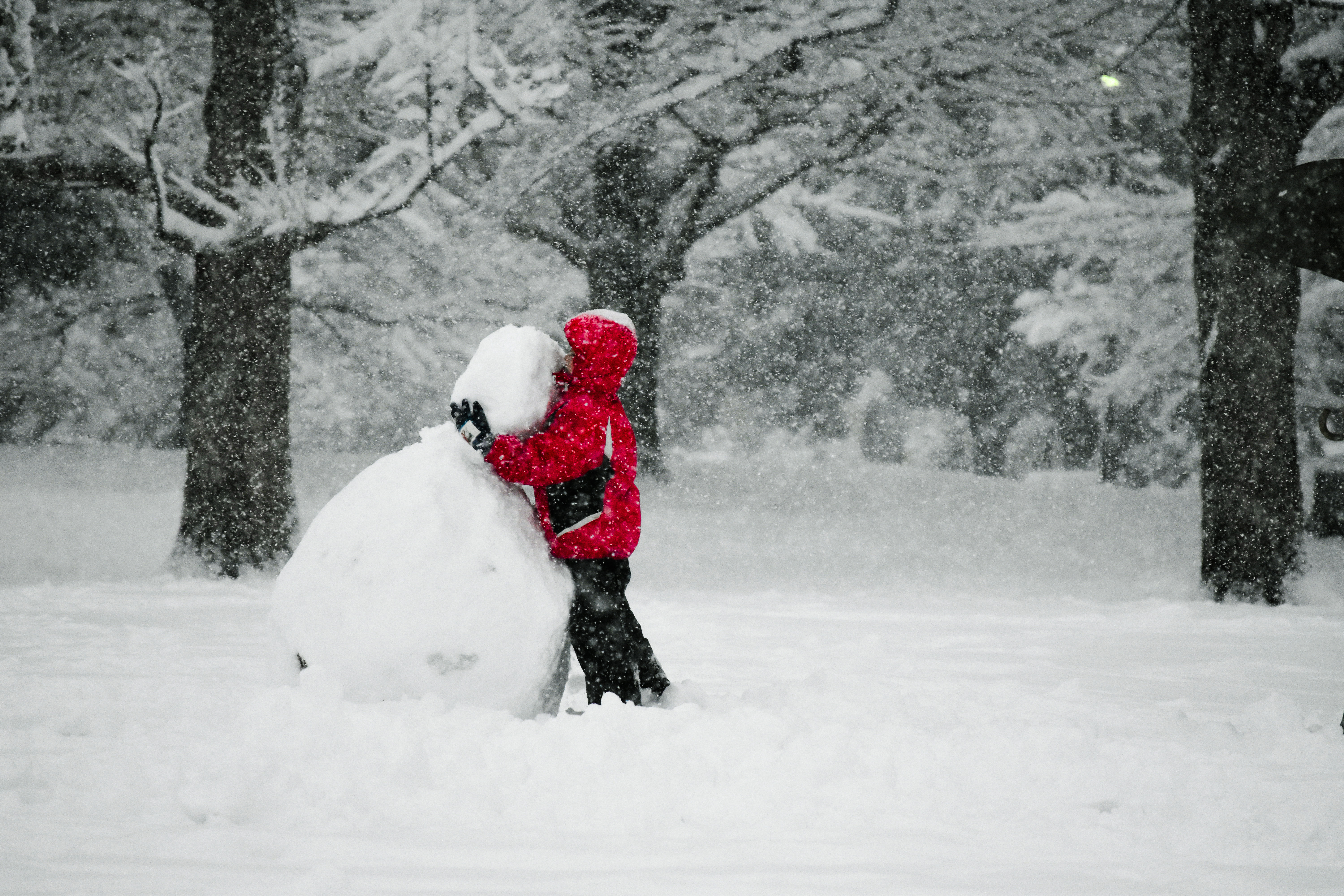 2018_Snow_Kokubunji_1