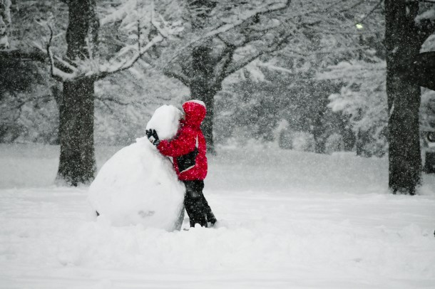2018_Snow_Kokubunji_1